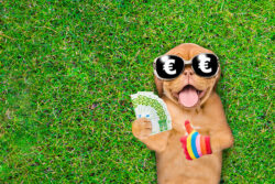 Extra aflossen: verstandig of niet?